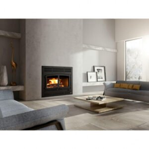 gas wood burning stove
